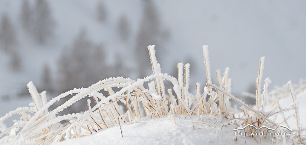 hrtages-Schneeschuhtour auf der unbekannten Seite des Rofangebirges