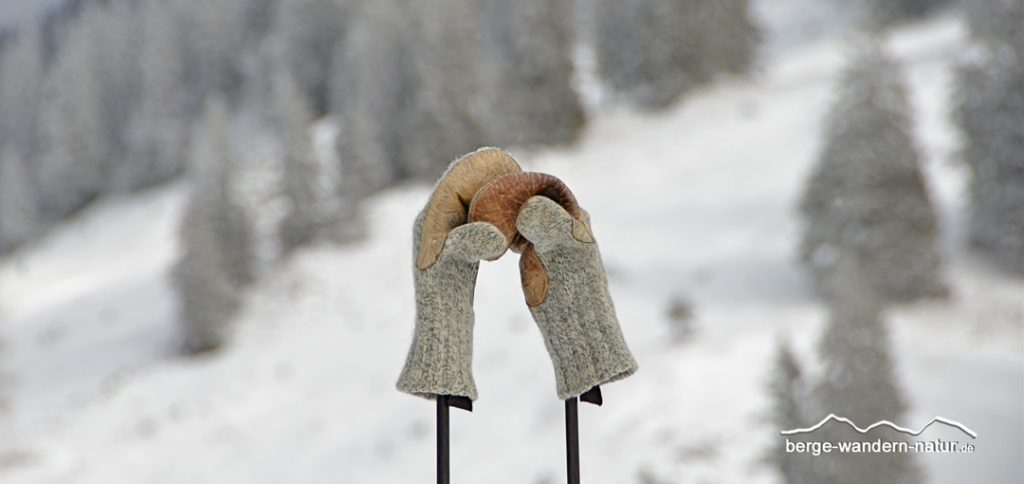 hrtages-Schneeschuhtour auf der unbekannten Seite des Rofangebirges