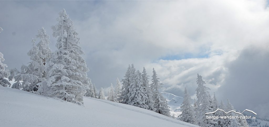 geführtes Schneeschuhwochenende in den Kitzbühler Alpen Tirol