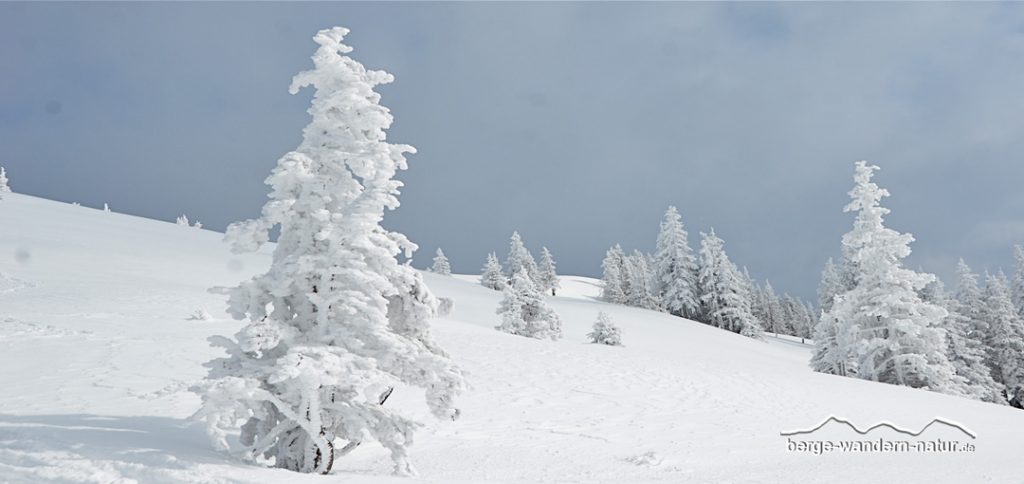 geführtes Schneeschuhwochenende in den Kitzbühler Alpen Tirol