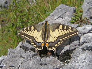 Gutschein Wanderung - Naturerlebnis mit Berge-Wandern-Natur.de