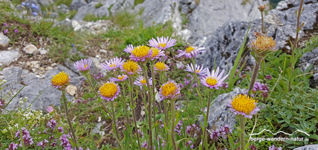 Wandern Rofan - 3 Tage Naturerlebnis • Berge-Wandern-Natur.de