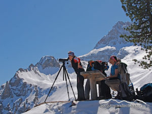 schneeschuhwandern-im-naturpark-fanes-sennes-prags schneeschuhwandern-im-naturpark-fanes-sennes-prags schneeschuhwandern-im-naturpark-fanes-sennes-prags schneeschuhwandern-im-naturpark-fanes-sennes-prags schneeschuhwandern-im-naturpark-fanes-sennes-prags schneeschuhwandern-im-naturpark-fanes-sennes-prags schneeschuhwandern-im-naturpark-fanes-sennes-prags schneeschuhwandern-im-naturpark-fanes-sennes-prags schneeschuhwandern-im-naturpark-fanes-sennes-prags schneeschuhwandern-im-naturpark-fanes-sennes-prags schneeschuhwandern-im-naturpark-fanes-sennes-prags schneeschuhwandern-im-naturpark-fanes-sennes-prags schneeschuhwandern-im-naturpark-fanes-sennes-prags schneeschuhwandern-im-naturpark-fanes-sennes-prags schneeschuhwandern-im-naturpark-fanes-sennes-prags schneeschuhwandern-im-naturpark-fanes-sennes-prags schneeschuhwandern-im-naturpark-fanes-sennes-prags schneeschuhwandern-im-naturpark-fanes-sennes-prags schneeschuhwandern-im-naturpark-fanes-sennes-prags schneeschuhwandern-im-naturpark-fanes-sennes-prags schneeschuhwandern-im-naturpark-fanes-sennes-prags schneeschuhwandern-im-naturpark-fanes-sennes-prags schneeschuhwandern-im-naturpark-fanes-sennes-prags schneeschuhwandern-im-naturpark-fanes-sennes-prags schneeschuhwandern-im-naturpark-fanes-sennes-prags schneeschuhwandern-im-naturpark-fanes-sennes-prags schneeschuhwandern-im-naturpark-fanes-sennes-prags