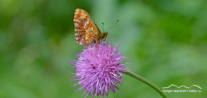 wandern-rofan-3-tage-naturerlebnis