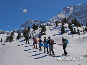 schneeschuhwandern-im-naturpark-fanes-sennes-prags schneeschuhwandern-im-naturpark-fanes-sennes-prags schneeschuhwandern-im-naturpark-fanes-sennes-prags schneeschuhwandern-im-naturpark-fanes-sennes-prags schneeschuhwandern-im-naturpark-fanes-sennes-prags schneeschuhwandern-im-naturpark-fanes-sennes-prags schneeschuhwandern-im-naturpark-fanes-sennes-prags schneeschuhwandern-im-naturpark-fanes-sennes-prags schneeschuhwandern-im-naturpark-fanes-sennes-prags schneeschuhwandern-im-naturpark-fanes-sennes-prags schneeschuhwandern-im-naturpark-fanes-sennes-prags schneeschuhwandern-im-naturpark-fanes-sennes-prags schneeschuhwandern-im-naturpark-fanes-sennes-prags schneeschuhwandern-im-naturpark-fanes-sennes-prags schneeschuhwandern-im-naturpark-fanes-sennes-prags schneeschuhwandern-im-naturpark-fanes-sennes-prags schneeschuhwandern-im-naturpark-fanes-sennes-prags schneeschuhwandern-im-naturpark-fanes-sennes-prags schneeschuhwandern-im-naturpark-fanes-sennes-prags schneeschuhwandern-im-naturpark-fanes-sennes-prags schneeschuhwandern-im-naturpark-fanes-sennes-prags schneeschuhwandern-im-naturpark-fanes-sennes-prags schneeschuhwandern-im-naturpark-fanes-sennes-prags schneeschuhwandern-im-naturpark-fanes-sennes-prags schneeschuhwandern-im-naturpark-fanes-sennes-prags schneeschuhwandern-im-naturpark-fanes-sennes-prags schneeschuhwandern-im-naturpark-fanes-sennes-prags