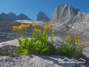 quer-durch-die-alpen-wandern