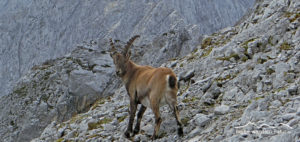 mehrtageswanderung-karwendel
