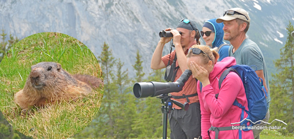 Wandergruppe bei Murmeltierbeobachtung mit Fernglas und Spektiv von ZEISS