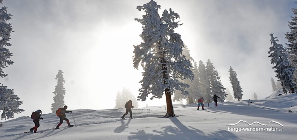 geführte Schneeschuhtour mit LASI LASI