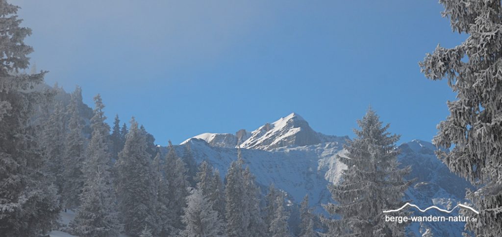 geführte Schneeschuhwanderung mit LASI