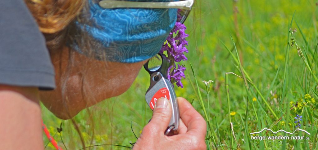 Orchideenblüte betrachtet im Einschlaglupe