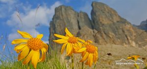 wandernung durch die alpen