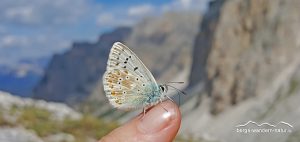 wandernung durch die alpen