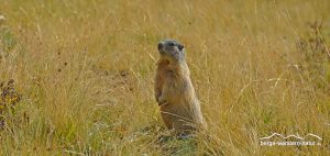 Mehrtagestour Schweizer Nationalpark