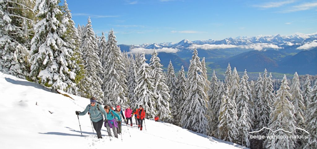 geführte Wandergruppe im Aufstieg Brandenberger Alpen