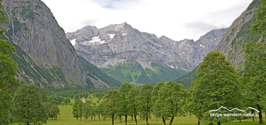 großer Ahornboden