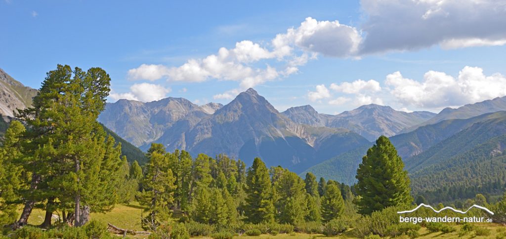 Val Minger mit Arvenbestand