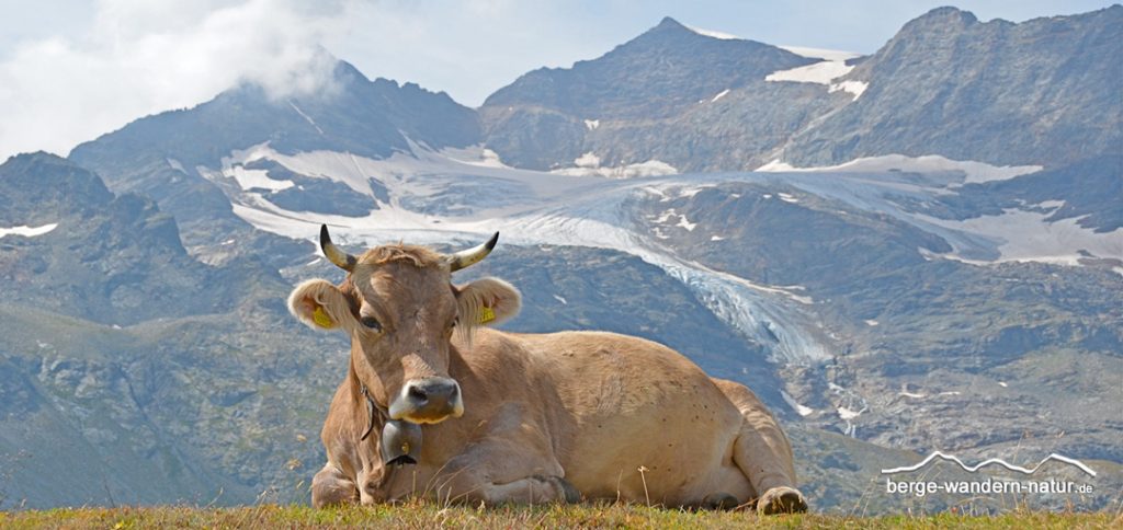 gefuehrte Hüttentour durch das wilde Engadin