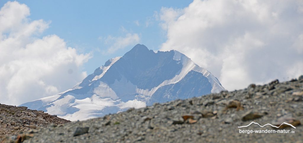 Gipfelblick auf den Piz Bernina