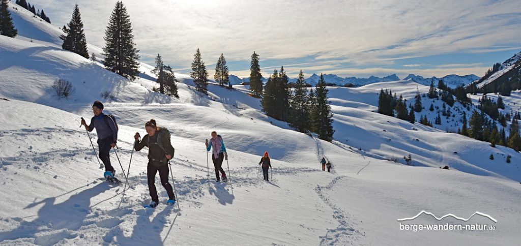 geführte Schneeschuhwanderungen mit LASI im Karwendel