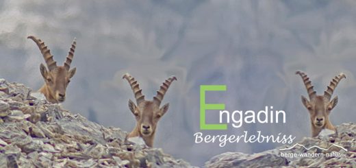 Wanderwoche durch den Schweizer Nationalpark