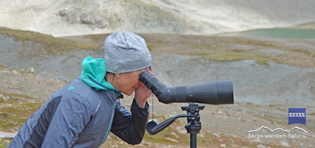Lasi mit Spektiv von Zeiss