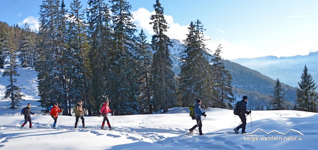 Schneeschuhgruppe von Lasi am Achensee