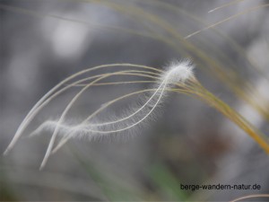  Wandern Gardasee 