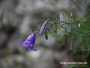  Wandern Gardasee 